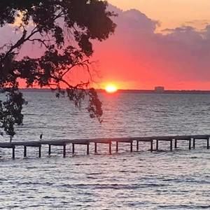 Meet your Posher, Bridgette